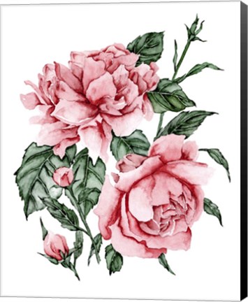 Framed Roses are Red II Print