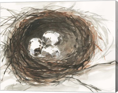 Framed Nesting Eggs III Print