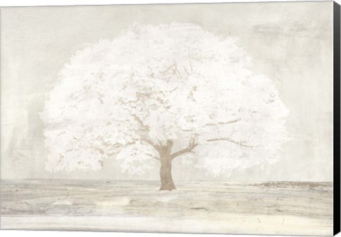 Framed Pale Tree Print