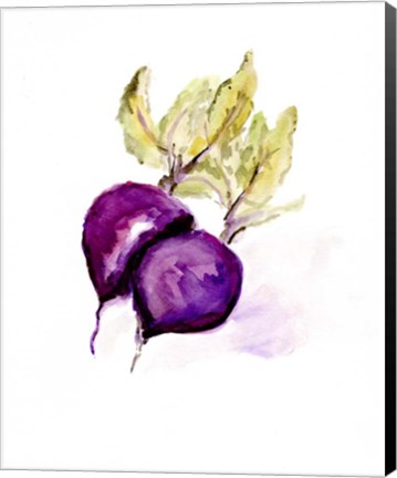 Framed Veggie Sketch plain III-Beets Print