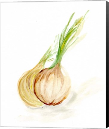 Framed Veggie Sketch plain X-Onion Print