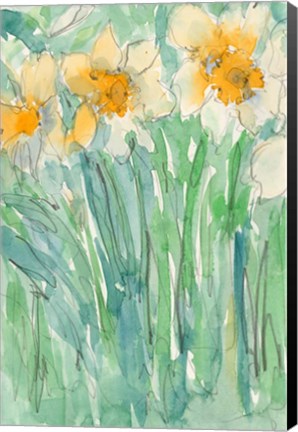 Framed Daffodils Stems I Print