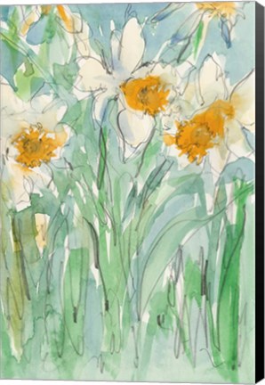 Framed Daffodils Stems II Print