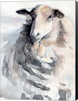 Framed Watercolor Sheep II Print