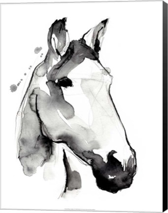 Framed White Stallion I Print