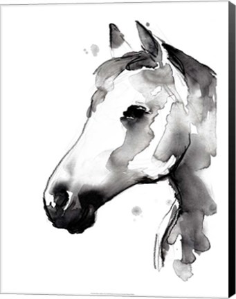 Framed White Stallion II Print