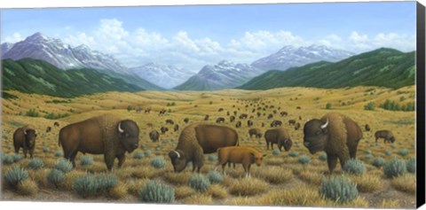 Framed Bison Trail Print