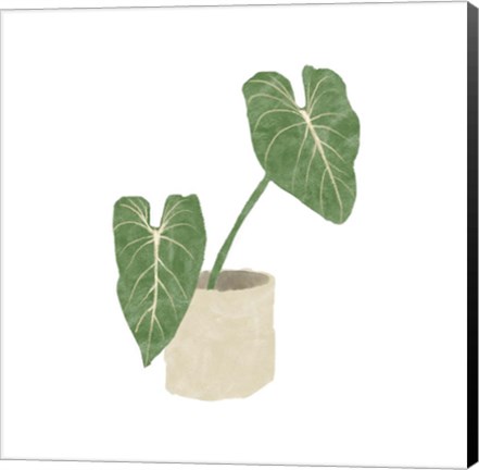 Framed Philodendron Gloriosum I Print