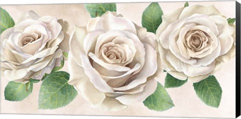 Framed Ivory Roses Landscape II Print