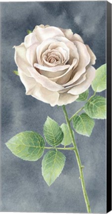 Framed Ivory Roses on Gray Panel II Print