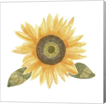 Framed Single Sunflower II Print