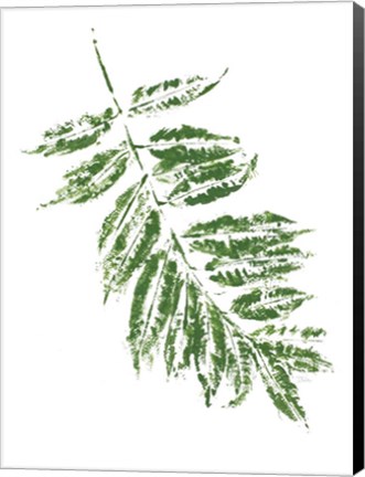 Framed Tropical Leaf Stamp Branch Print