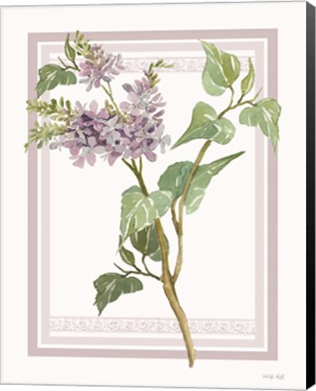 Framed Lilacs V Print