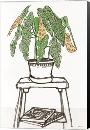 Framed House Plant Study I Print