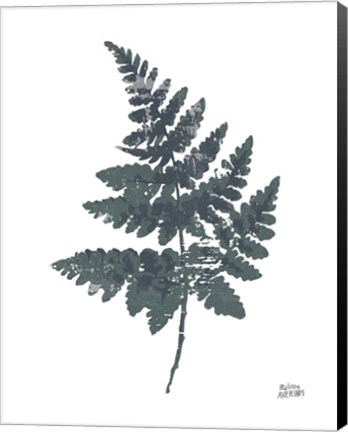 Framed Fern II Print