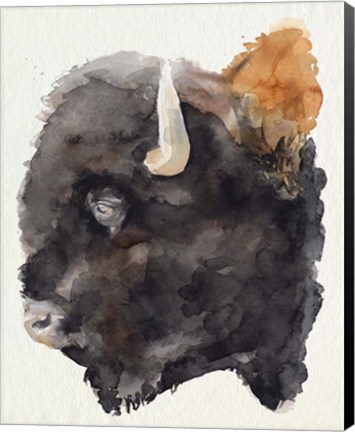 Framed Watercolor Bison Profile II Print