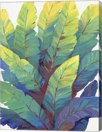 Framed Sunlit Banana Leaves II Print