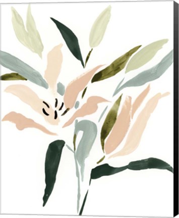 Framed Lily Abstracted II Print