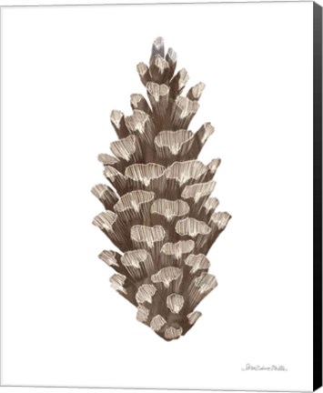 Framed Peace and Joy Pinecone Print