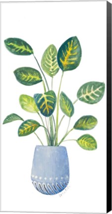 Framed Croton In Blue Pot Print