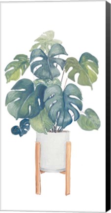 Framed Monstera Deliciosa Print