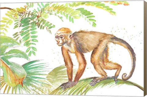 Framed Monkey Roaming In The Jungle Print