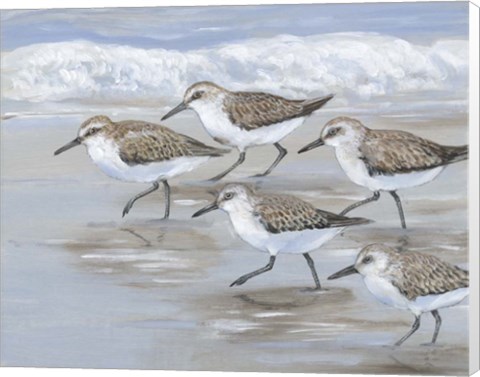 Framed Sandpipers I Print