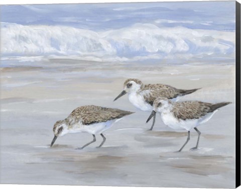 Framed Sandpipers II Print