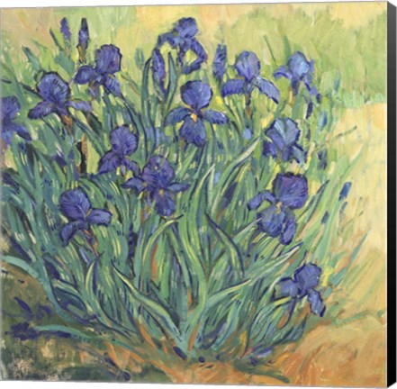 Framed Irises in Bloom II Print