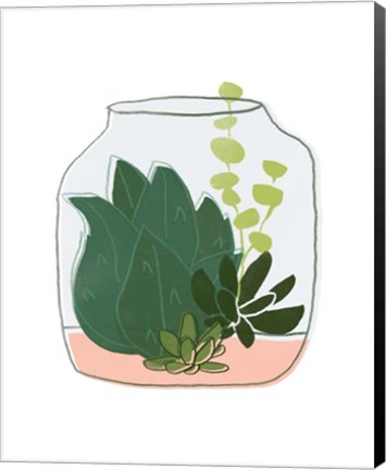 Framed Terrarium Cameo II Print