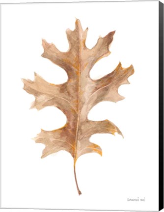 Framed Fallen Leaf I Print
