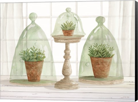 Framed Garden Cloche Trio I Print