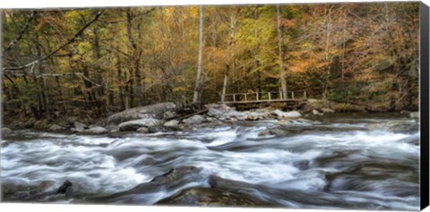 Framed Foot Bridge Print