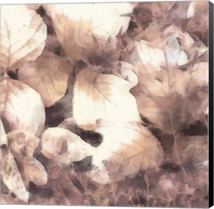 Framed Blush Shaded Leaves IV Print