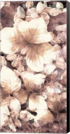 Framed Blush Shaded Leaves V Print