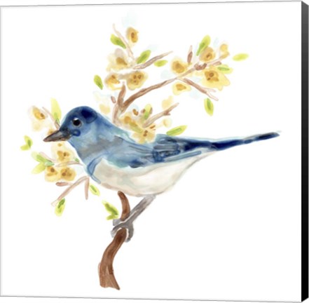 Framed Springtime Songbirds IV Print