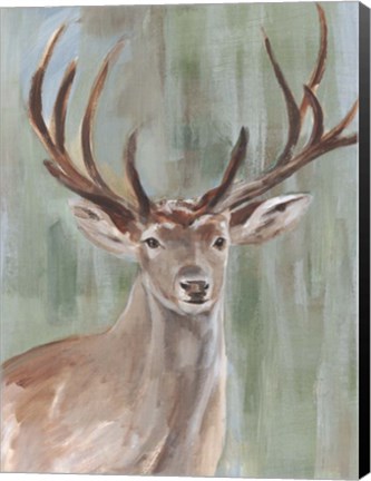 Framed Roaming Buck II Print