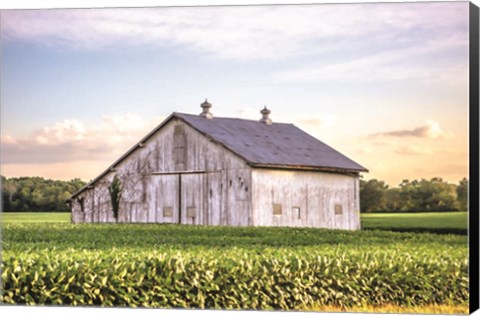 Framed Rural Ohio Barn Print