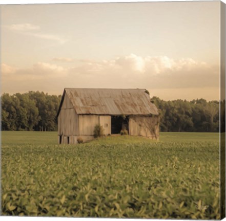 Framed Rural Barn Print