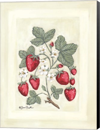 Framed Sweet Summer Strawberries I Print