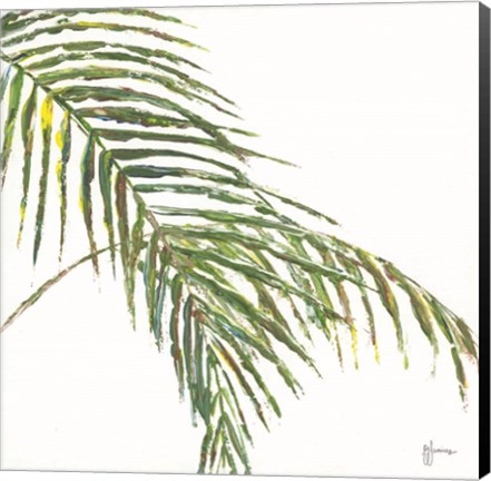 Framed Two Palm Fronds II Print