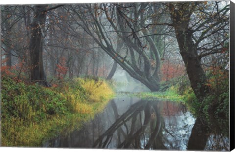 Framed Creek Print