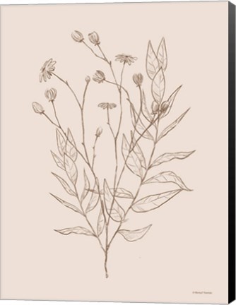 Framed Wildflower Drawing Print