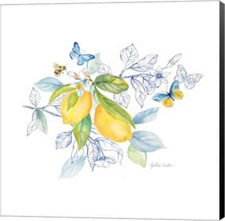 Framed Lemon Sketch Book II Print