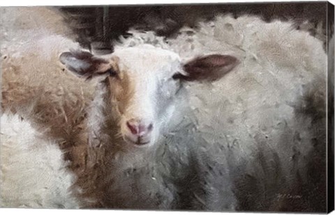 Framed Sheep&#39;s Flock Print