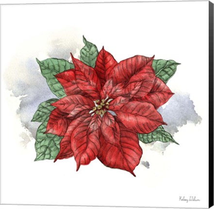 Framed Winter Poinsetta I Print