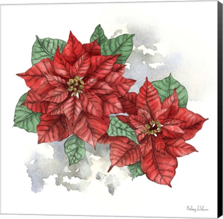 Framed Winter Poinsetta II Print