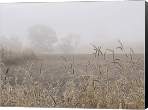 Framed Roadside Grass Print