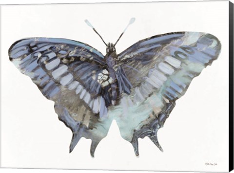 Framed Blue Butterfly Print