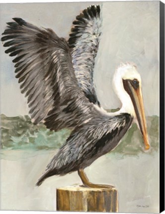 Framed Brown Pelican 2 Print